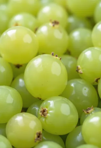 Buah Gooseberry hijau dan merah segar, teriris, dengan daun di permukaan kayu